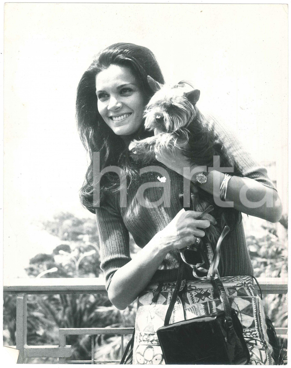 Fotografia d epoca originale 1970 ca CINEMA Florinda BOLKAN Ritratto con YORKSHIRE TERRIER Foto 21x27 cm 1 1