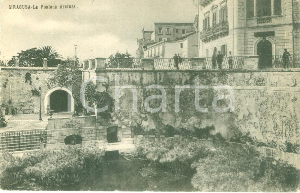 Cartolina originale da collezione 1930 ca SIRACUSA Veduta della Fonte ARETUSA *Cartolina postale FP NV 1