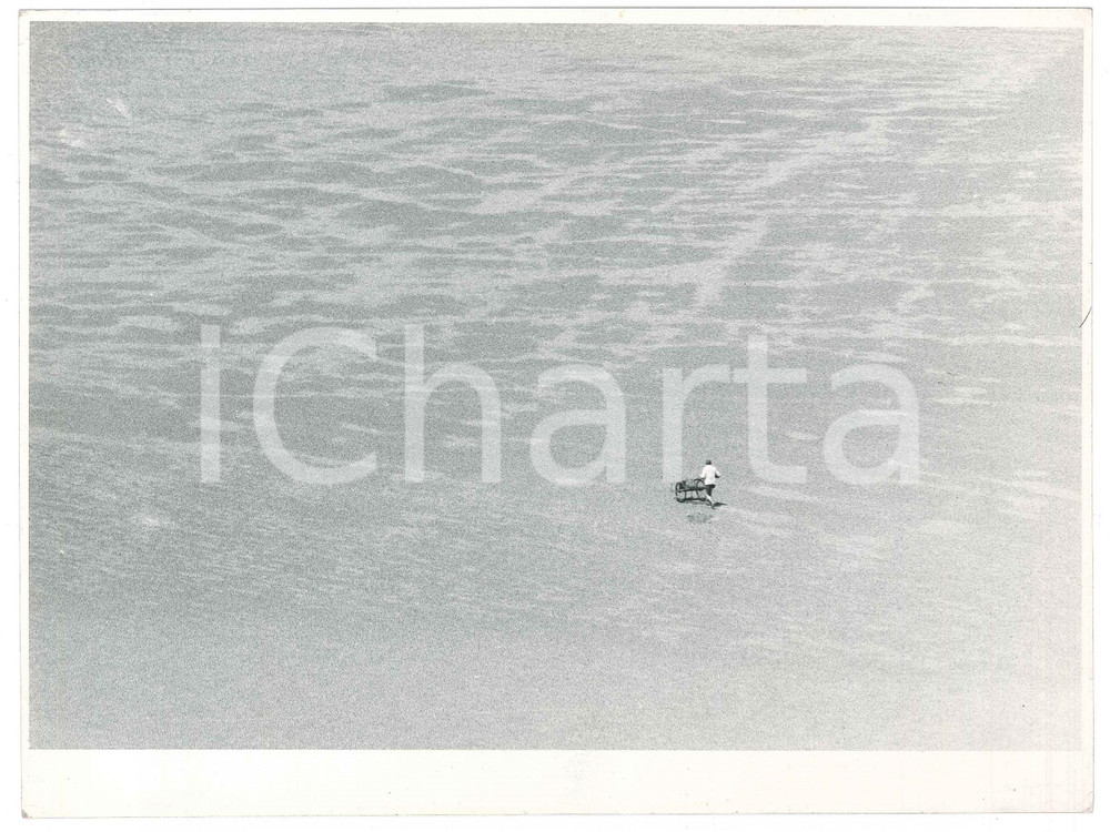 Fotografia d epoca originale 1963 MONT SAINTMICHEL FRANCE Bassa marea  Uomo con carriola  Foto ARTISTICA 1