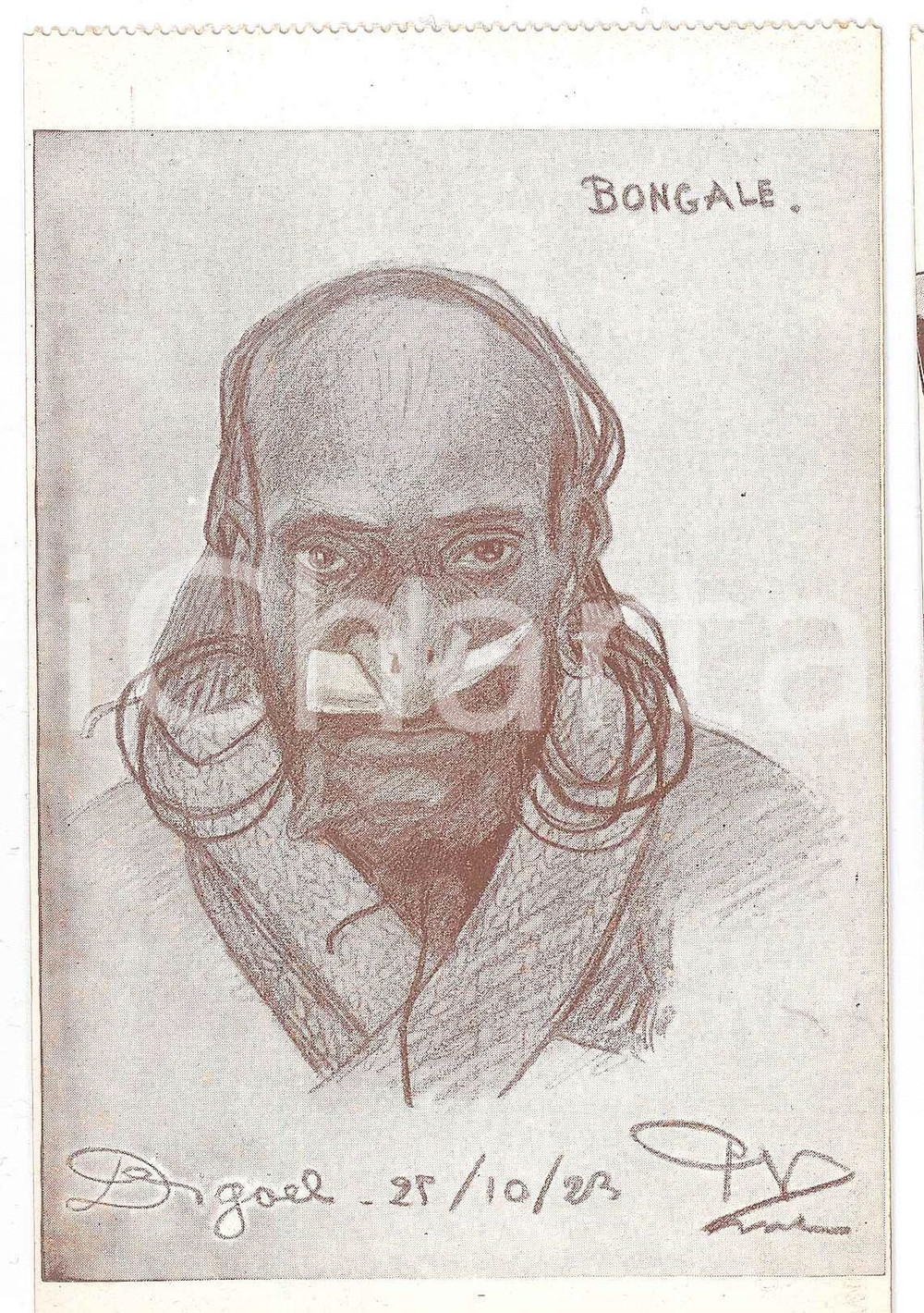 1925 ca NOUVELLE GUINÉE NÉERLANDAISE Coupeurs de têtes - Bongale - Postcard Cartolina postale d'epoca, non viaggiata.La cartolina appartiene allla serie "Chez les coupeurs de t&ecirc;tes de la Nouvelle-Guin&eacute;e N&eacute;erlandaise"CONDIZIONI: GFORMATO: FPEDITORE: Missionnaires du S. Coeur - Borgerhout-Anvers    originale e autentica 1