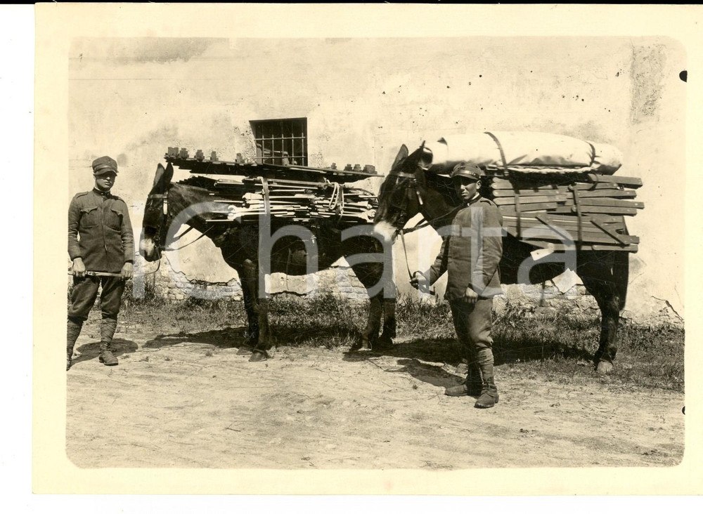Fotografia d epoca originale 1920 ca FIUME TICINO Soldati del GENIO Zappatori e Minatori con i muli Foto 1