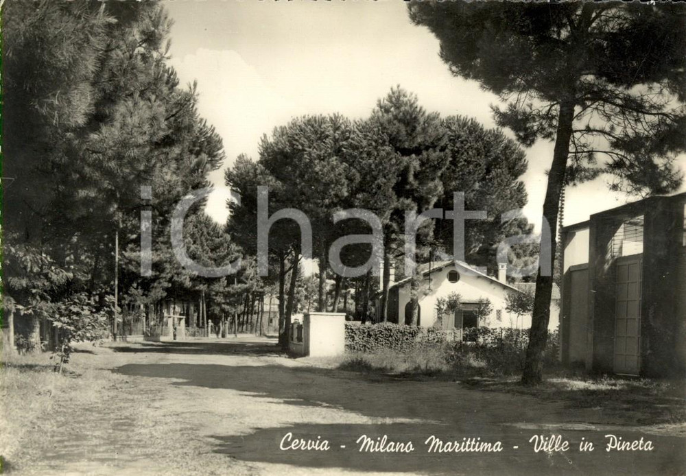 Cartolina originale da collezione 1954 CERVIA (RA) Ville in pineta a MILANO MARITTIMA *Cartolina postale FG VG 1