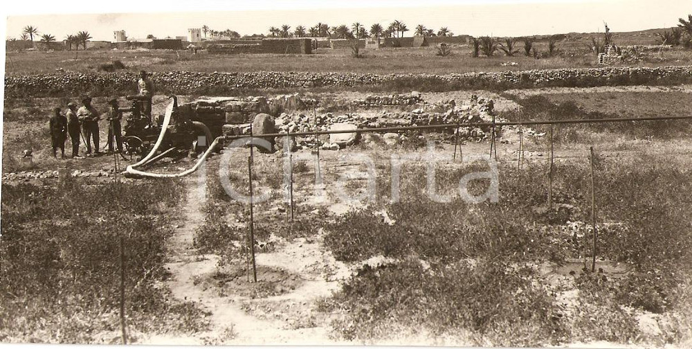 Fotografia d'epoca originale 1930 TOCRA (LIBIA) Irrigatori meccanici presso i pozzi dei vivai *Foto ANIMATA 1