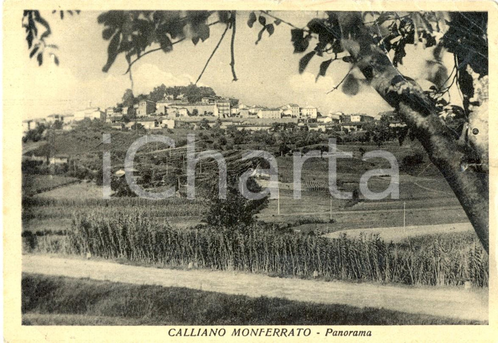 Cartolina originale da collezione 1952 CALLIANO AT Scorcio panoramico del paese Cartolina postale FG VG 1