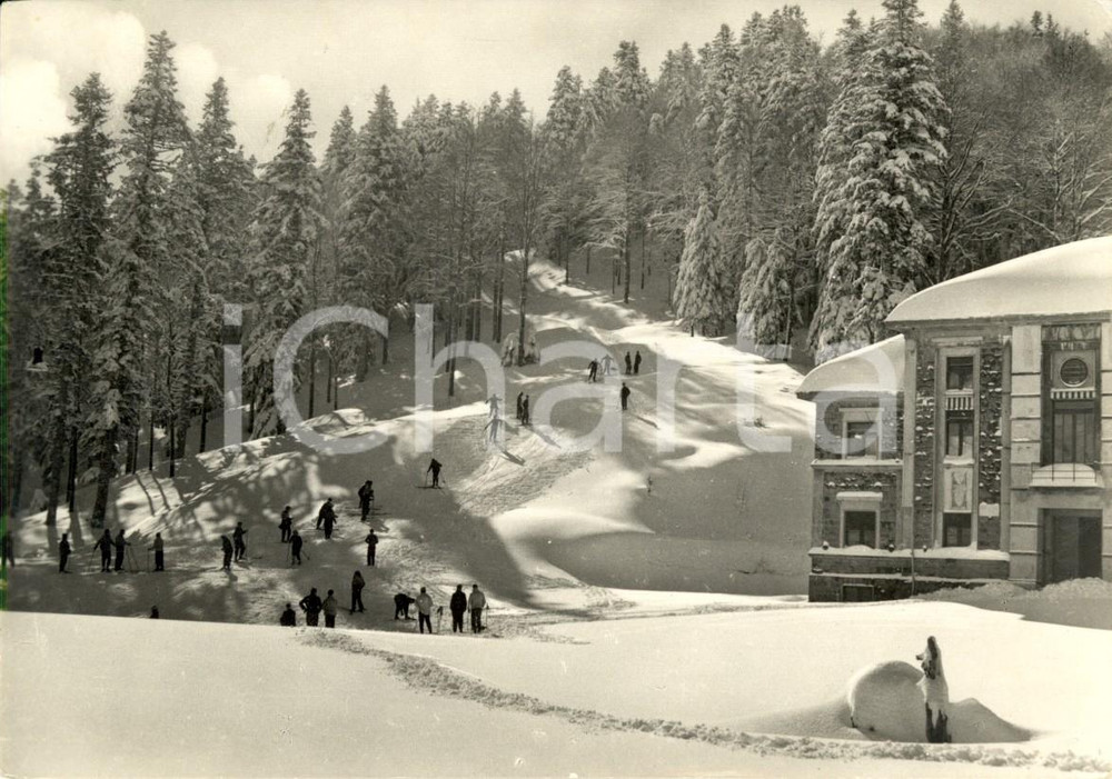 Cartolina originale da collezione 1954 ABETONE (PT) Sciatori sul campo da sci di CATINOZZO *Cartolina FG VG 1