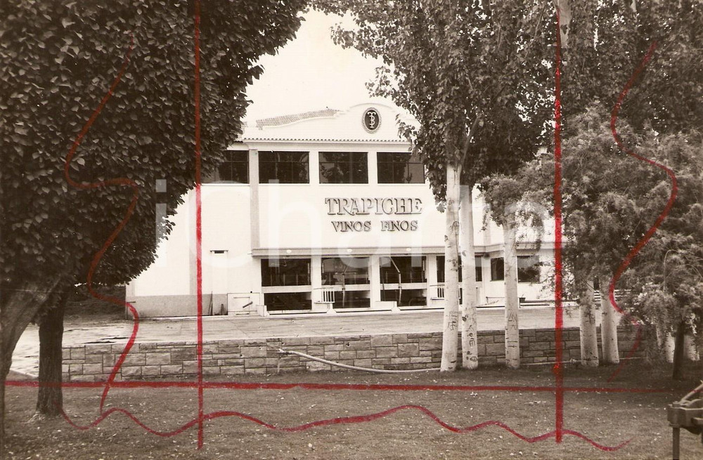 Fotografia d epoca originale 1983 BUENOS AIRES ExposiciÃ³n Rural ARGENTINA Padiglione vini TRAPICHE Foto 1