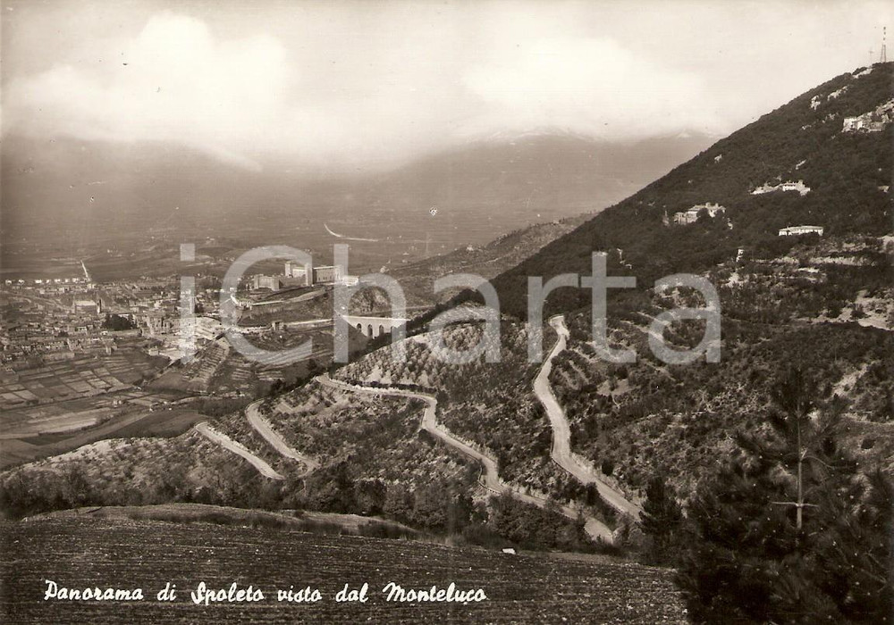 Cartolina originale da collezione 1950 ca SPOLETO PG vista dalla Frazione MONTELUCO Panorama Cartolina FG NV 1