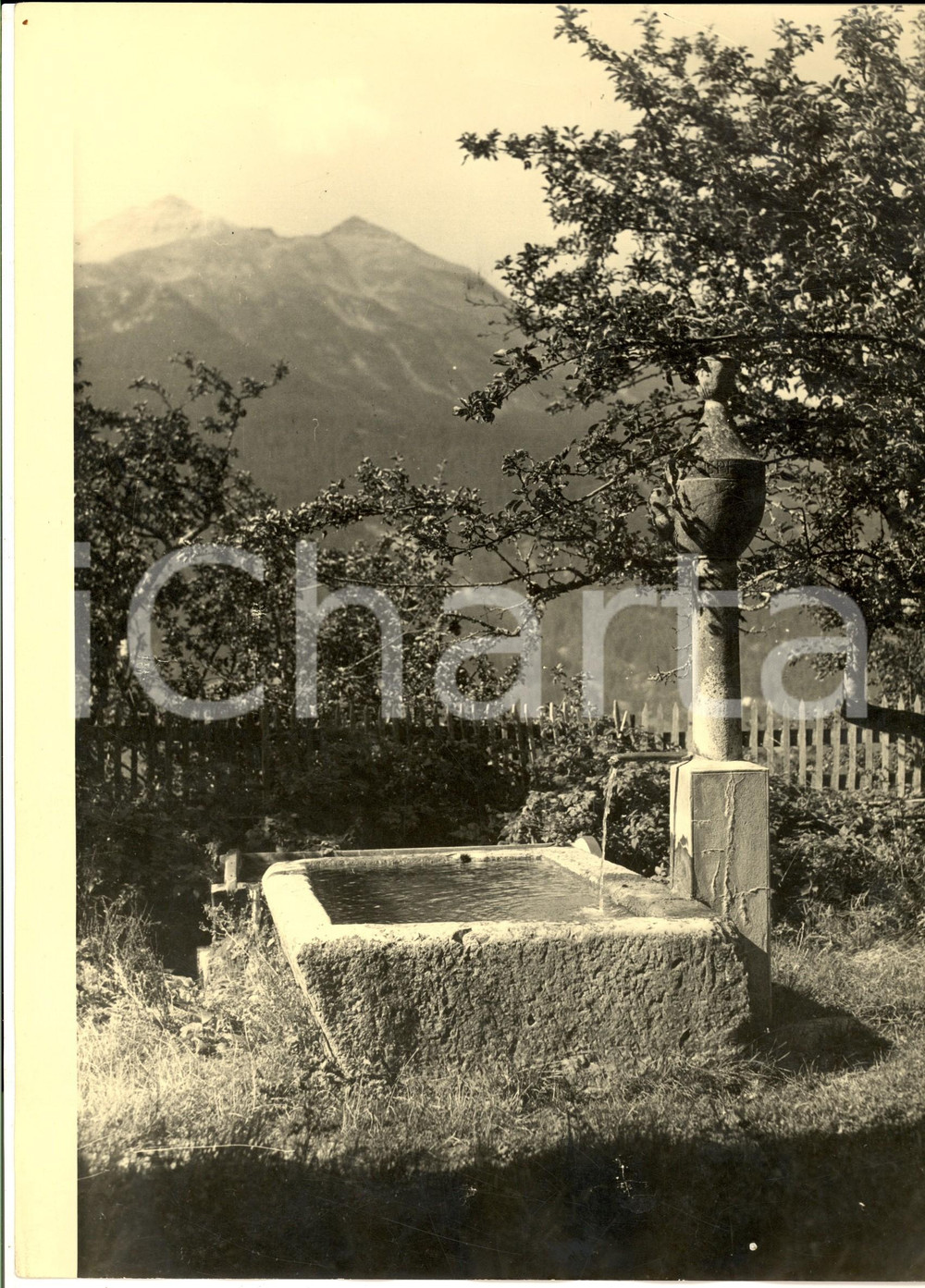 Fotografia d epoca originale 1960 ca MARSEILLE Antica fontana in un podere Foto ARTISTICA CLAIRIERE 22x30 cm 1