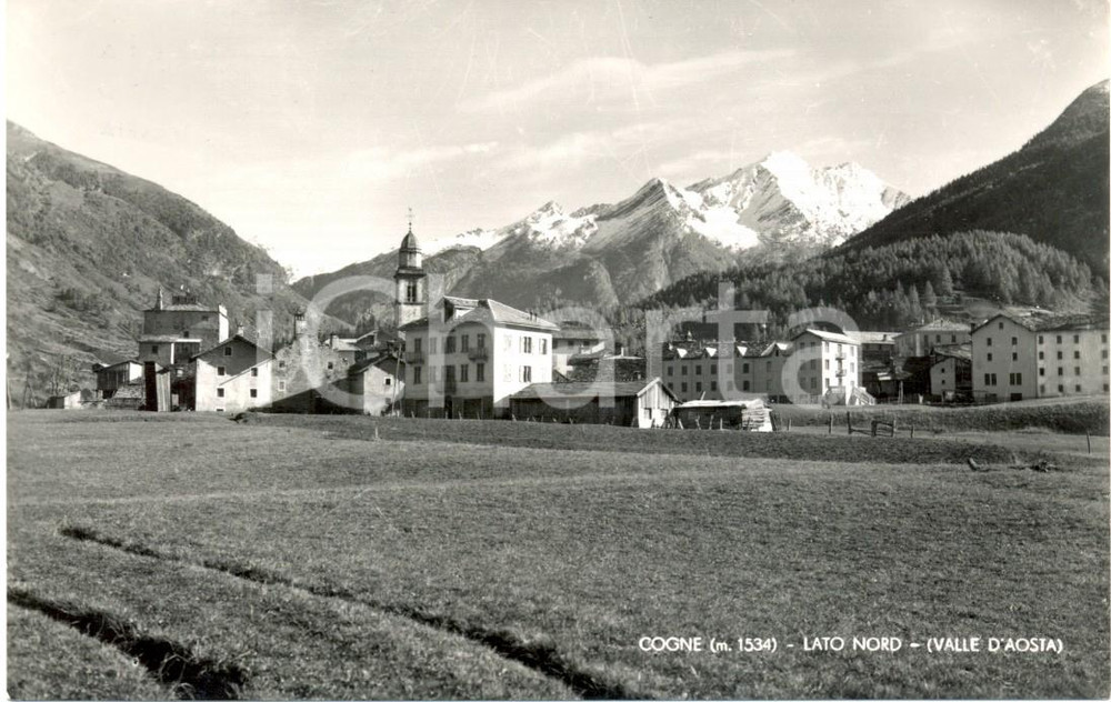 Cartolina originale da collezione 1950 ca COGNE (AO) Veduta panoramica con abitato - Lato Nord *Cartolina FP NV 1