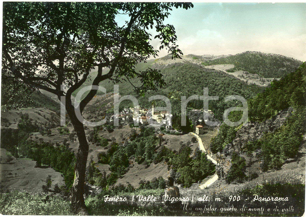 1954 FINERO (VCO) Panorama con Val Vigezzo - Cartolina FG VG Cartolina d'epoca viaggiata  VERY POOR/gravemente danneggiato Lievi smussature agli angoli, residui di incollatura al verso, abrasione al verso Formato: 15x10 cm originale e autentica 1