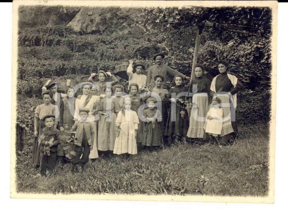 Fotografia d epoca originale 1910 ca AREA LOMBARDA Una vendemmia in campagna Foto VINTAGE 11x8 cm 1