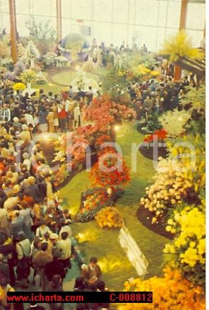 Cartolina originale da collezione 1986 GENOVA Fiera EUROFLORA Esposizione fiori Panorama VINTAGE Cartolina FG NV 1