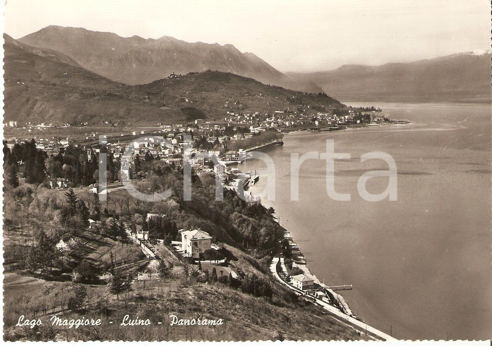 Cartolina originale da collezione 1959 LUINO VA Panorama con LAGO MAGGIORE Cartolina FG VG 1