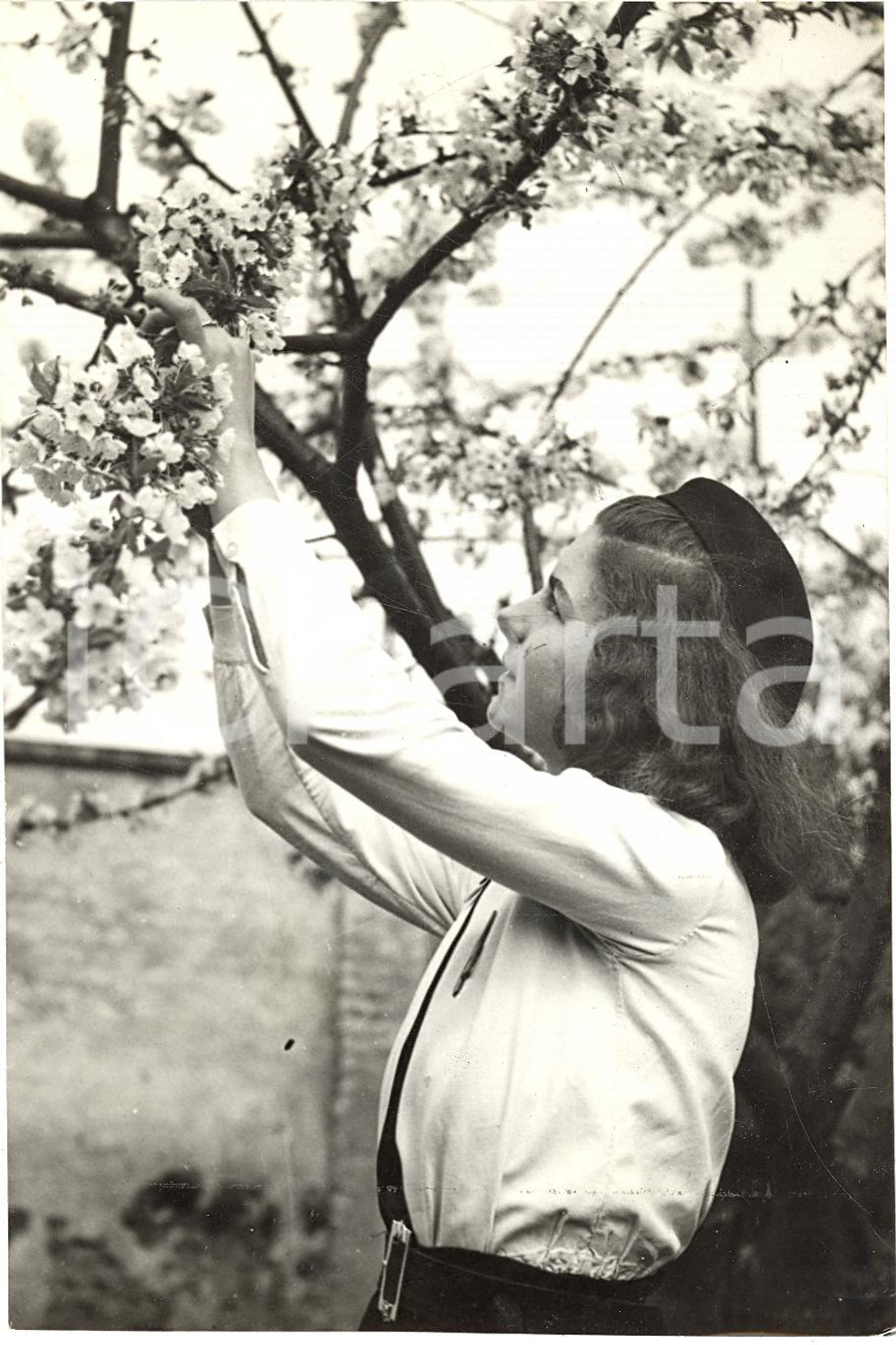Fotografia d'epoca originale 1942 MILANO Ragazza coglie fiori Ludi Juveniles G.I.L. 1
