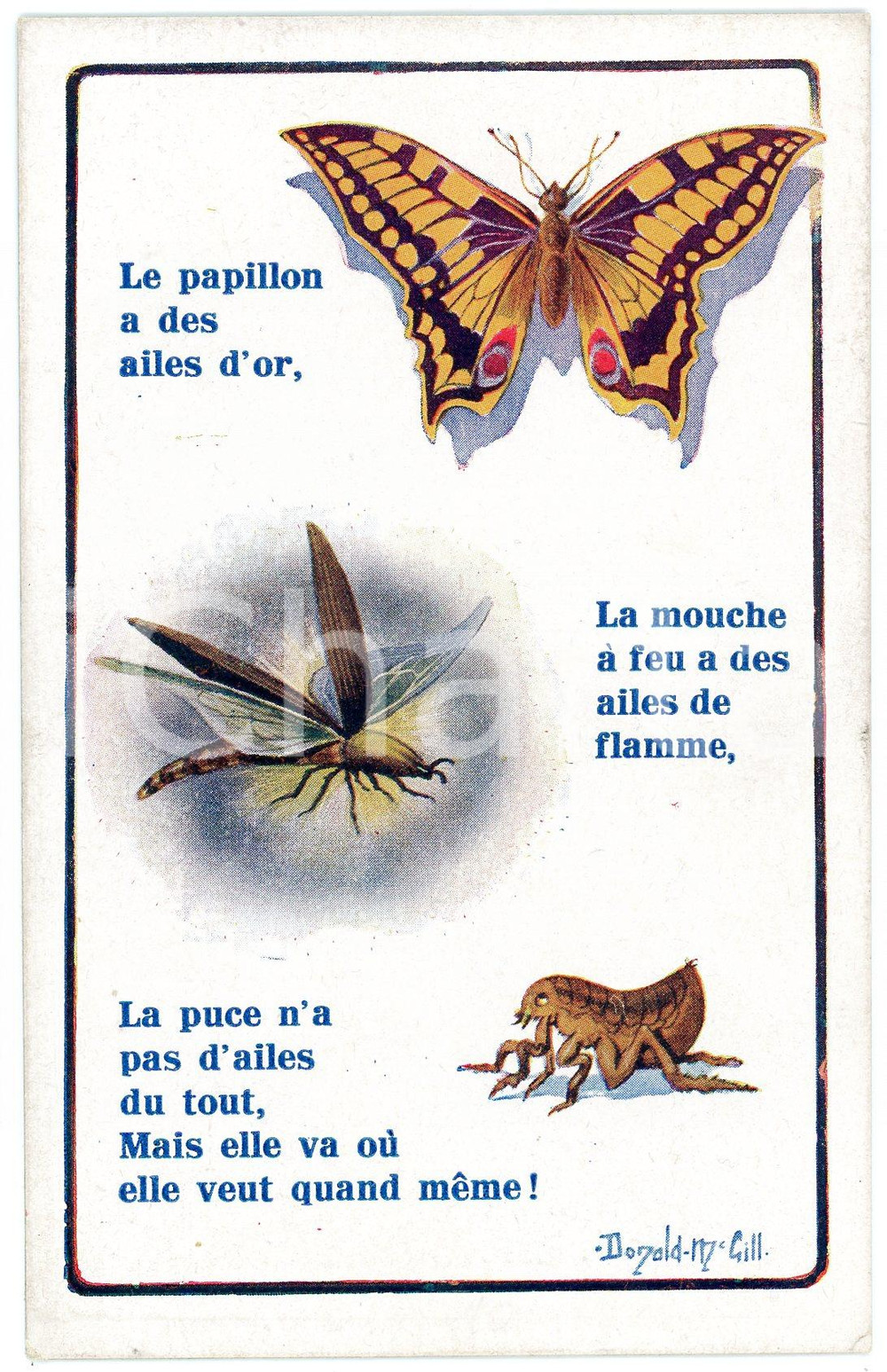 1910ca INSECTES Papillon, mouche et puce - Illustrated by Donald McGILL Postcard  Cartolina postale d'epoca, non viaggiata.CONDIZIONI: GFORMATO: FP    originale e autentica 1