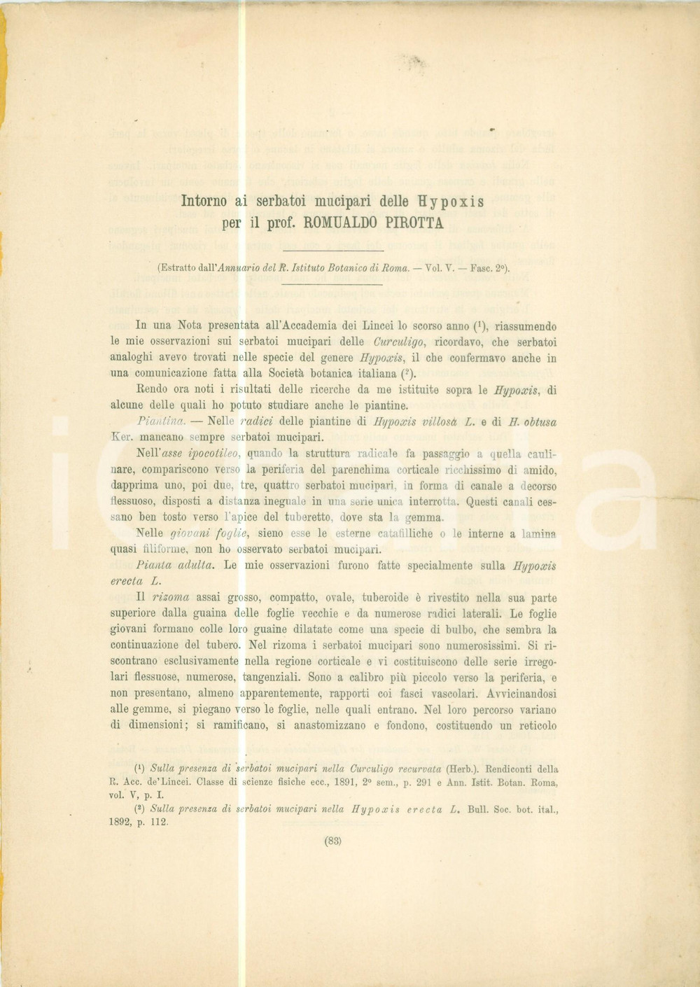Libro, pubblicazione d epoca 1894 Romualdo PIRROTTA Intorno ai serbatoi mucipari delle HYPOXIS DANNEGGIATO 1
