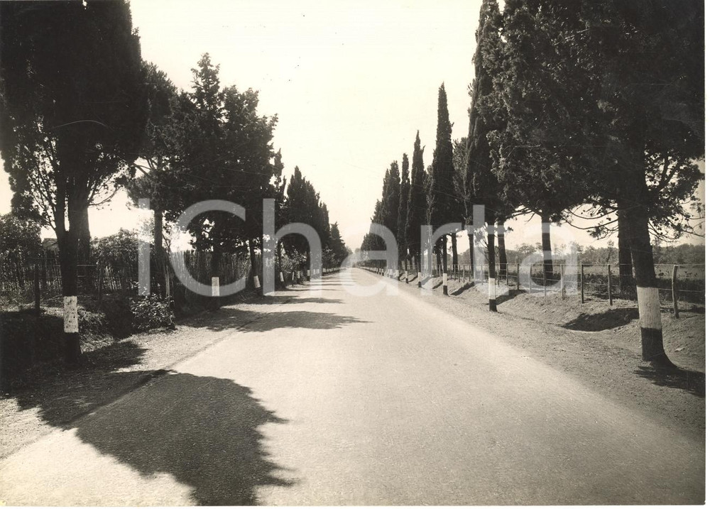 Fotografia d'epoca originale 1935 CIVITAVECCHIA (RM) Via AURELIA Rettifilo di PALO 1