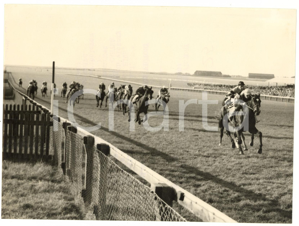 1956 NEWMARKET Cesarewitch Handicap - Edward HILDE winning on PRELONE *Photo