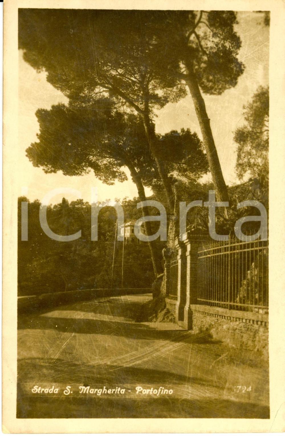 Cartolina originale da collezione 1940 ca PORTOFINO (GE) Veduta della strada per SANTA MARGHERITA *Cartolina FP NV 1