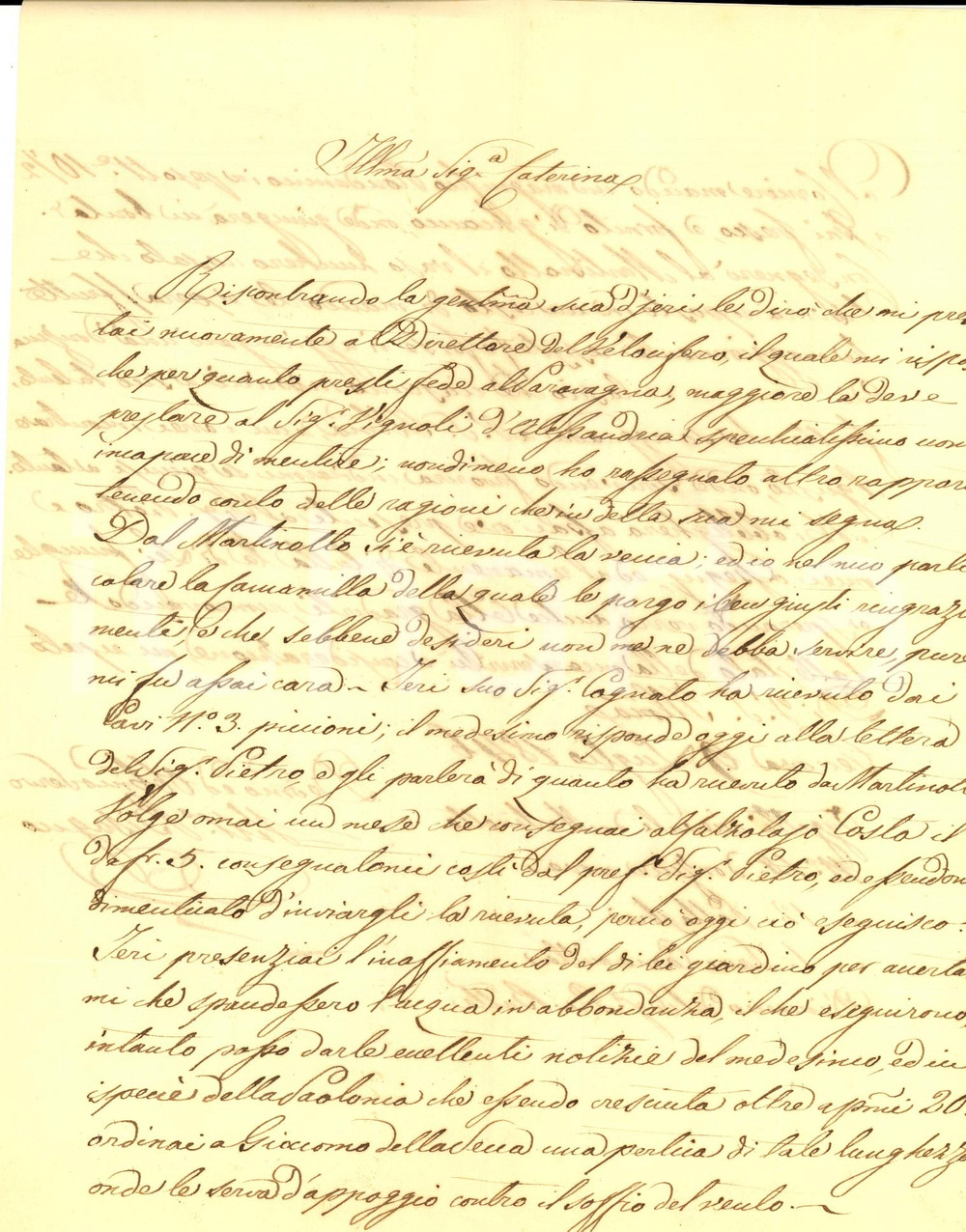 Documento originale, autentico 1846 GENOVA Innaffiamento giardino marchesa Caterina NEGROTTO CAMBIASO 1