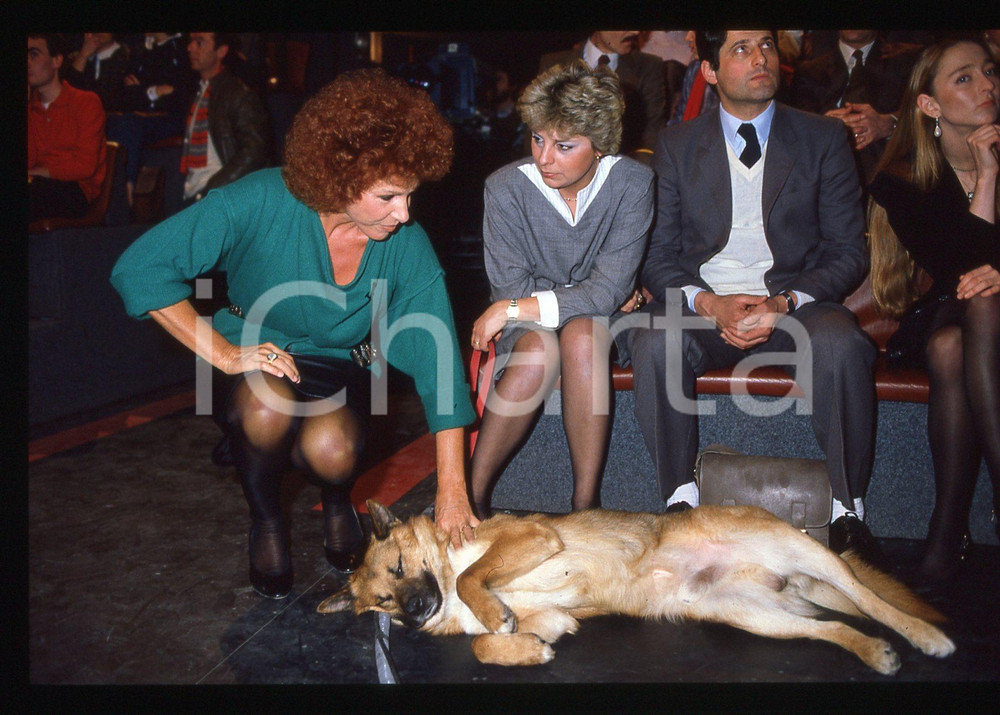 35mm vintage slide*1990ca COSTUME - Ornella VANONI accarezza un cane