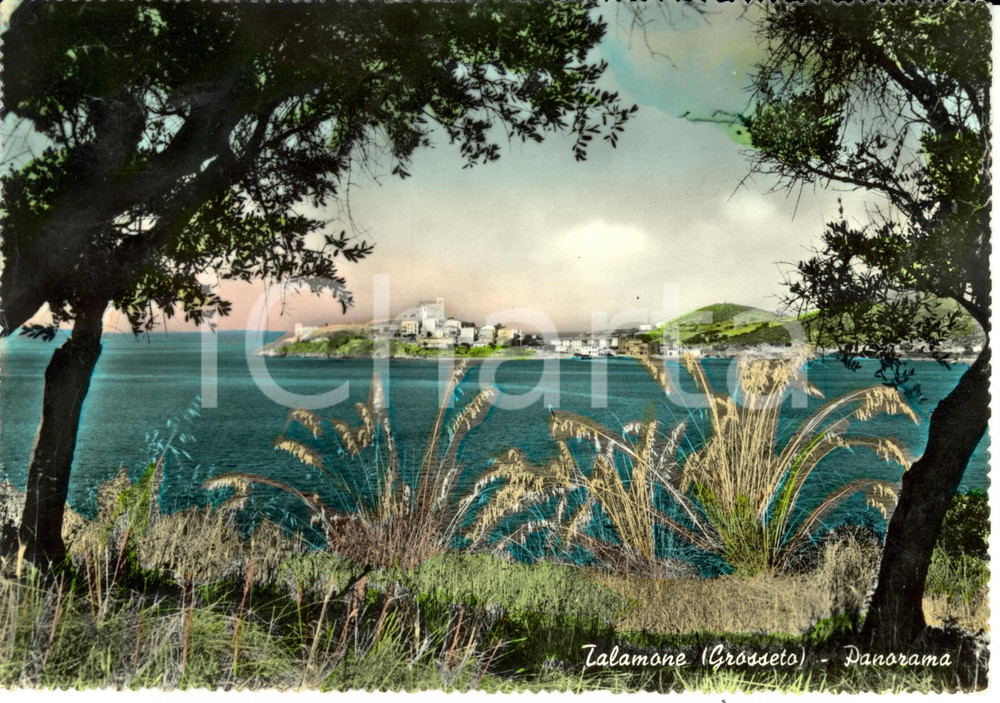 Cartolina originale da collezione 1955 TALAMONE (GR) Scorcio panoramico con ROCCA ALDOBRANDESCA *FG VG 1
