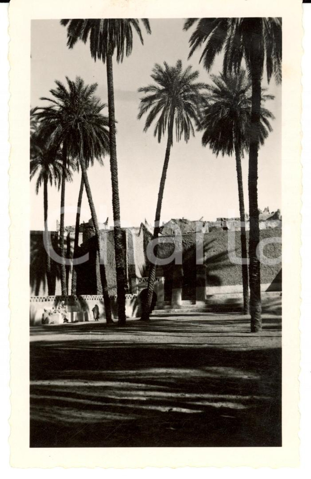 Fotografia d'epoca originale 1934 GADAMES (LIBIA) Piazza delle Fantasie Gino MATTEUCCI Prototipo di cartolina 1