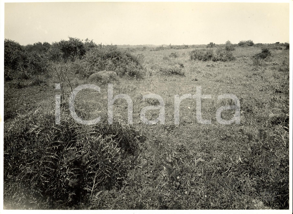 Fotografia d'epoca originale 1933 BONIFICA DEL SELE Veduta generale della piana FOTO 1