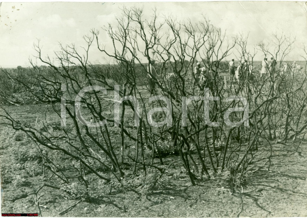 Fotografia d'epoca originale 1938 LIBIA Costruzione della nuova strada per OBERDAN 1