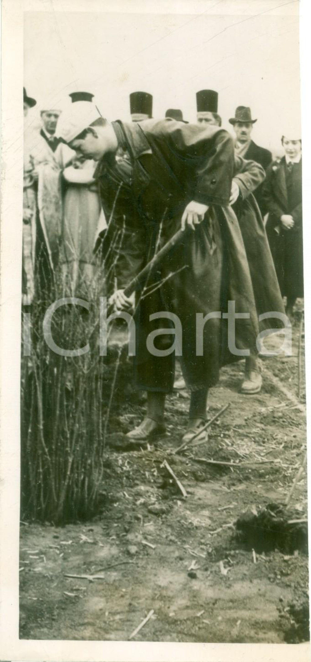 Fotografia d epoca originale 1937 BUCAREST Michele di ROMANIA pianta alberi con scout STRAJER Fotografia 1