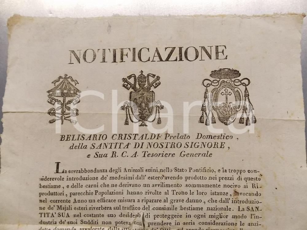 Documento originale, autentico 1825 ROMA STATO PONTIFICIO Troppi suini esteri danneggiano produzione nostrana 1