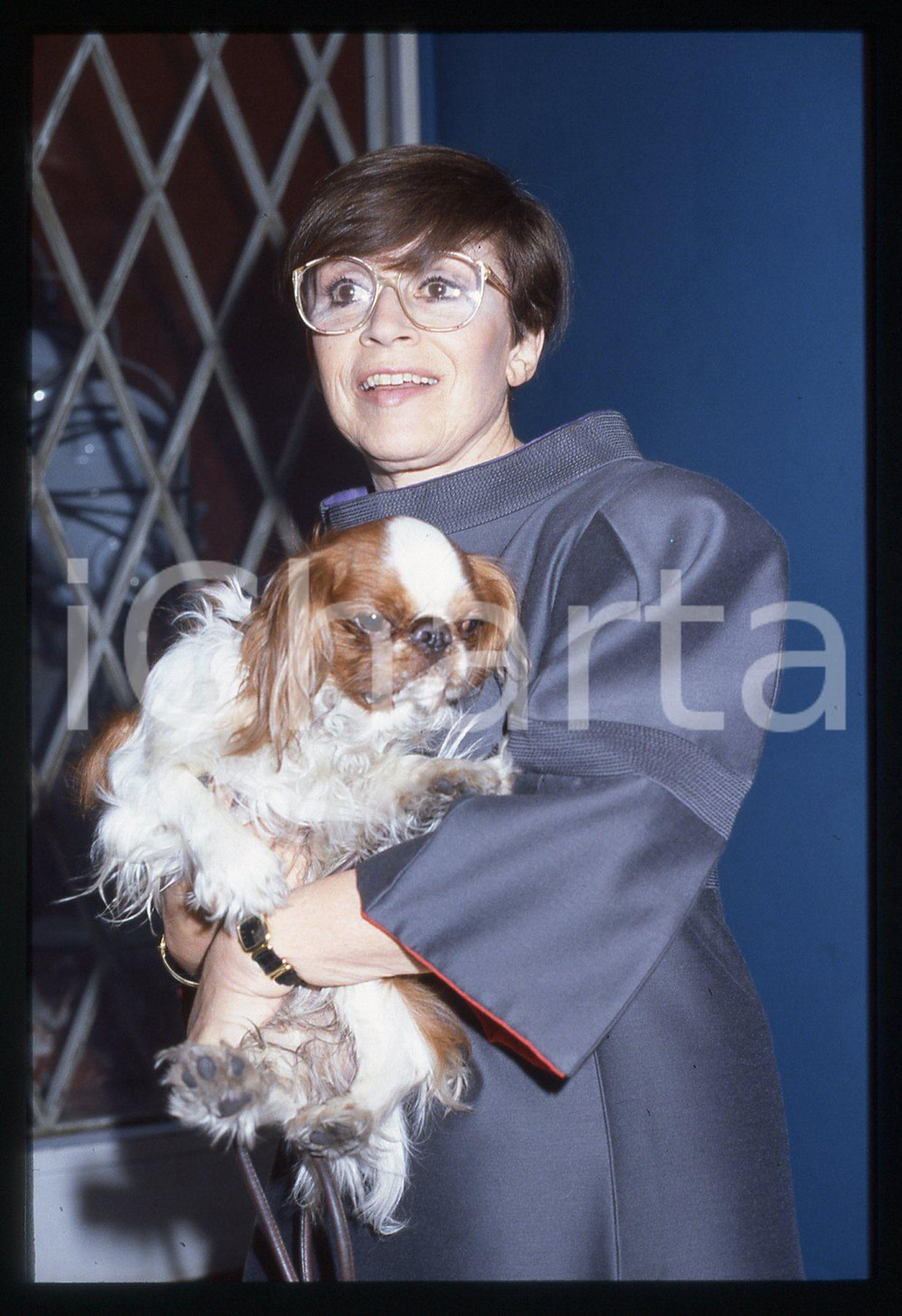 35mm vintage slide* 1995ca SPETTACOLO Franca VALERI Ritratto con cane (15)