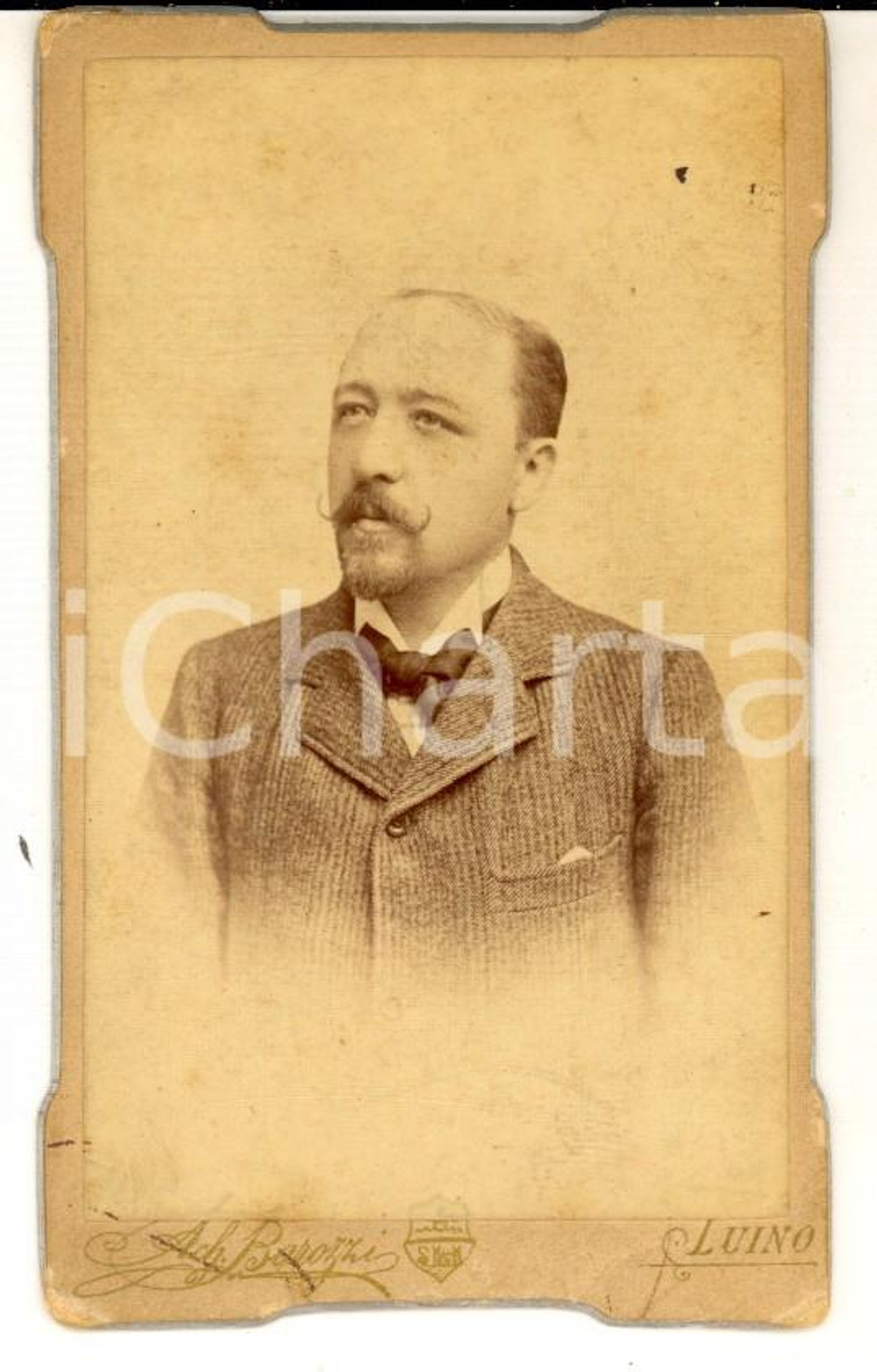 Fotografia d epoca originale 1890 ca LUINO VA Ritratto maschile con giacca rigata Foto Achille BAROZZI CDV 1