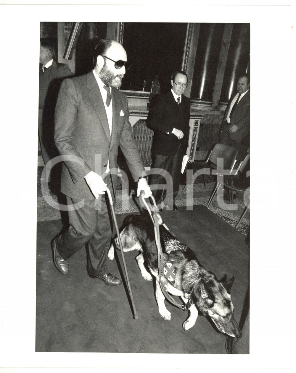 1985 ca MILANO - PRI Ritratto di Giacomo PROPERZJ con il suo cane guida *Foto