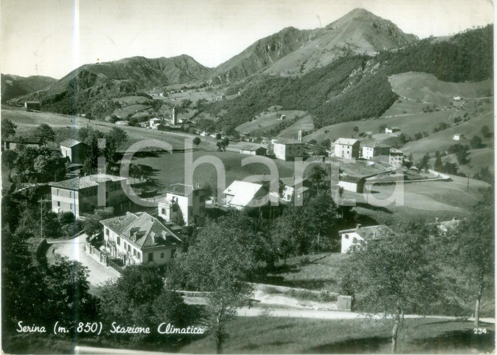 Cartolina originale da collezione 1955 ca SERINA BG Panorama della stazione climatica Cartolina FG VG 1
