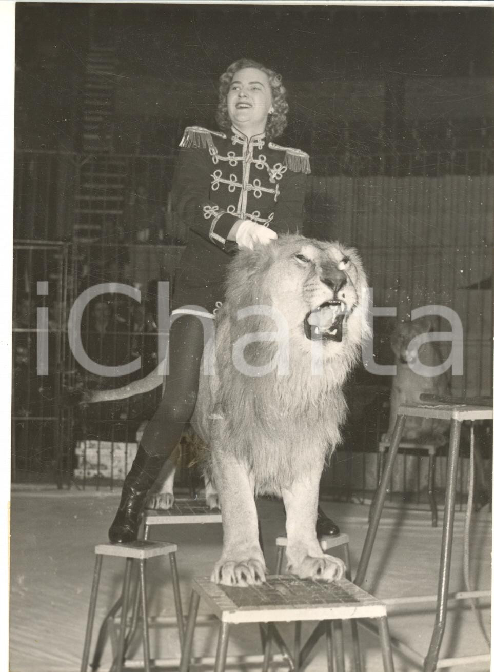 1954 PARIS CIRQUE MEDRANO Miss TINTYE à cheval sur un lion *Photo 12x17