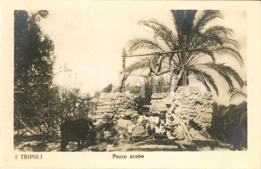 Cartolina originale da collezione 1930 ca TRIPOLI LIBIA Pozzo arabo Cartolina ANIMATA con beduini FP NV 1