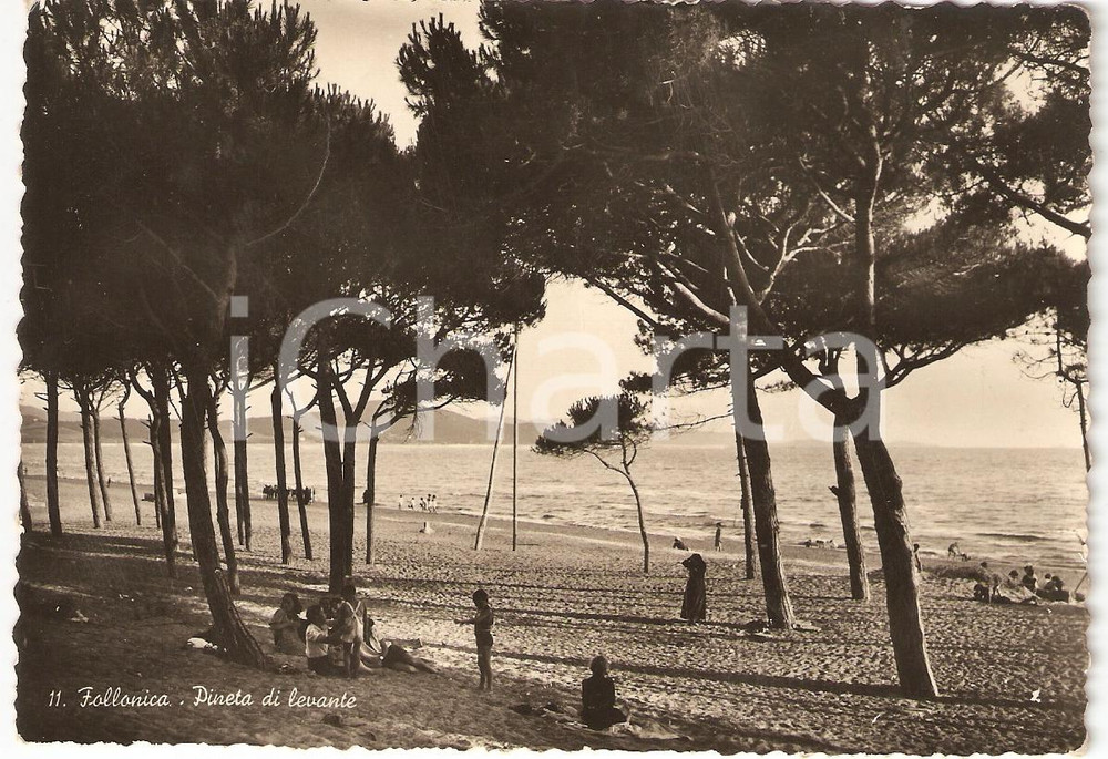 Cartolina originale da collezione 1941 FOLLONICA GR Scorcio della PINETA di LEVANTE Cartolina FG VG 1