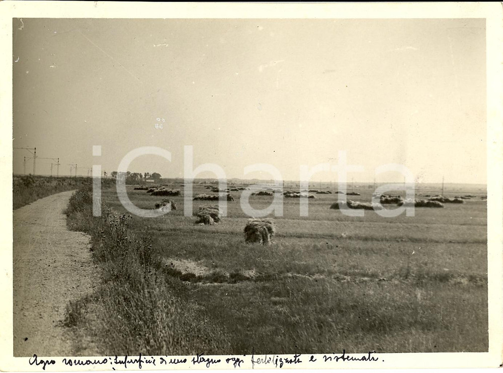 Fotografia d'epoca originale 1930 ROMA L'Agro Romano prima della bonifica VERA FOTO 1