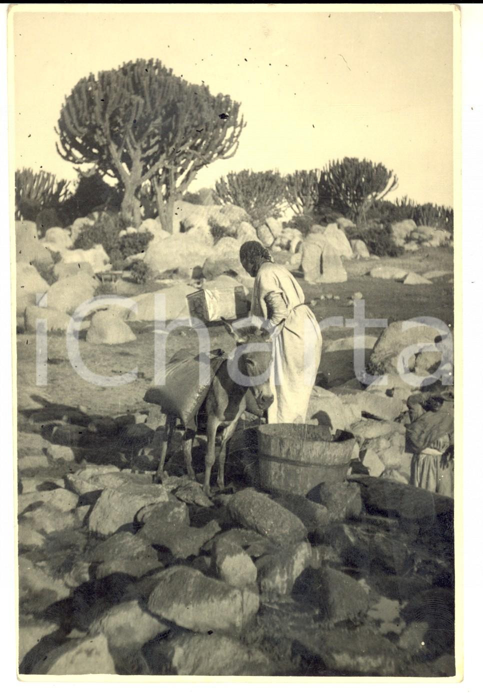 Fotografia d epoca originale 1940 ca AOI ETIOPIA ? Donna carica un asino da soma Foto 11x17 cm 1