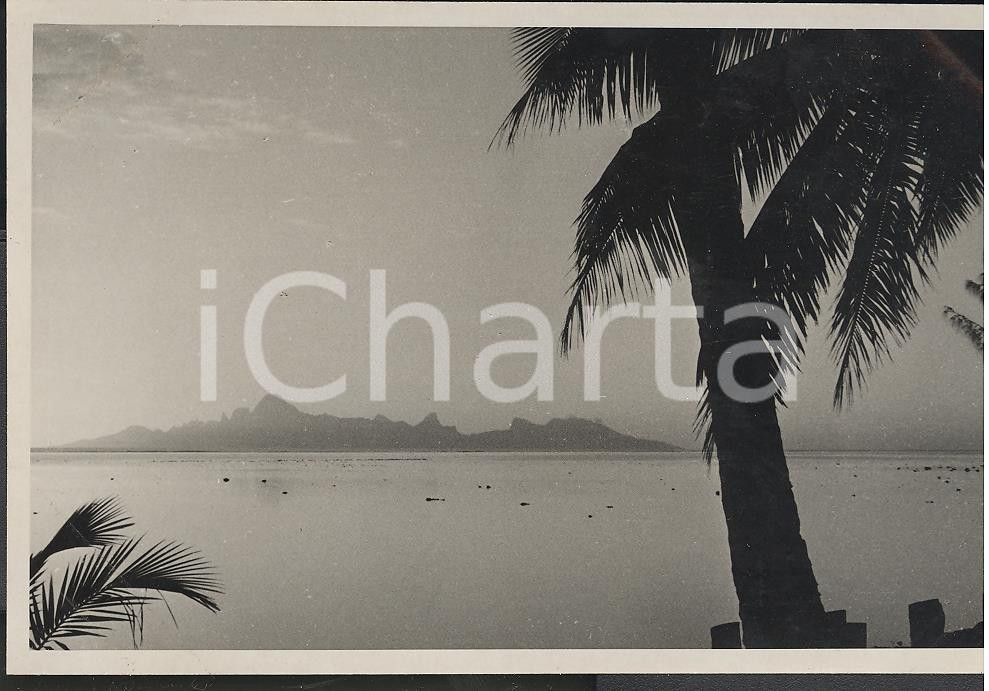 Fotografia d epoca originale 1937 MOOREA Polinesia Francese Veduta  d insieme REAL PHOTO cm 13,5 x 8,5 1