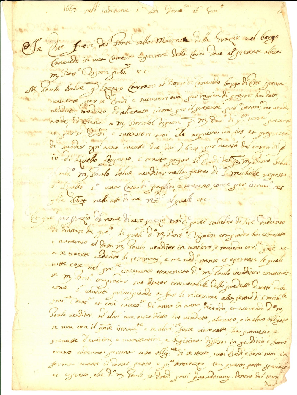 Documento originale, autentico 1661 ESTE (PD) Paolo Salvatore CARRARO vende casa a Bortolo VIGNON *Manoscritto 1