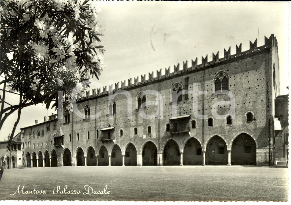 Cartolina originale da collezione 1961 MANTOVA Palazzo Ducale Cartolina FG VG 1