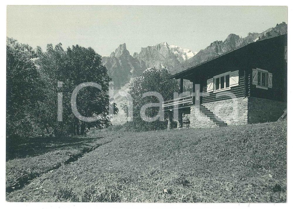 Cartolina originale da collezione 1950 ca COURMAYEUR Entreves Aiguille Noire Peuterey e Mont Blanc 3 Cartolina 1