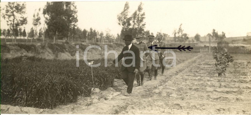 Fotografia d epoca originale 1925 ca TRIPOLI Emilio DE BONO visita frutteto PASQUALI 1