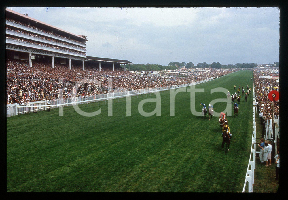 35mm vintage slide* 1983 EPSOM DERBY - Lester PIGGOTT wins riding TEENOSO