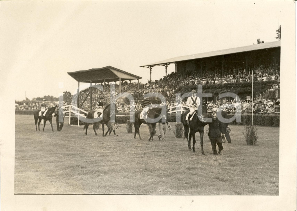 Fotografia d'epoca originale 1940 ca TORINO Ippica *Sfilata cavalli PRINCIPE AMEDEO Fotografia 1
