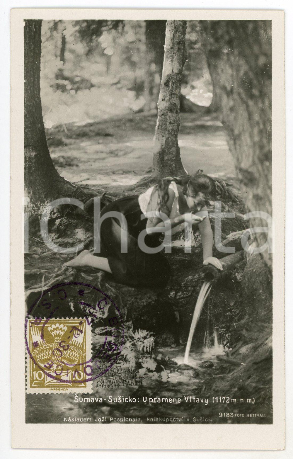 1930 SUMAVA - SUSICKO (CZECH REPUBLIC) U pramene VITAVY - Postcard  Fotocartolina postale d'epoca, con bollo e timbro al recto.CONDIZIONI: GFORMATO: FP    originale e autentica 1