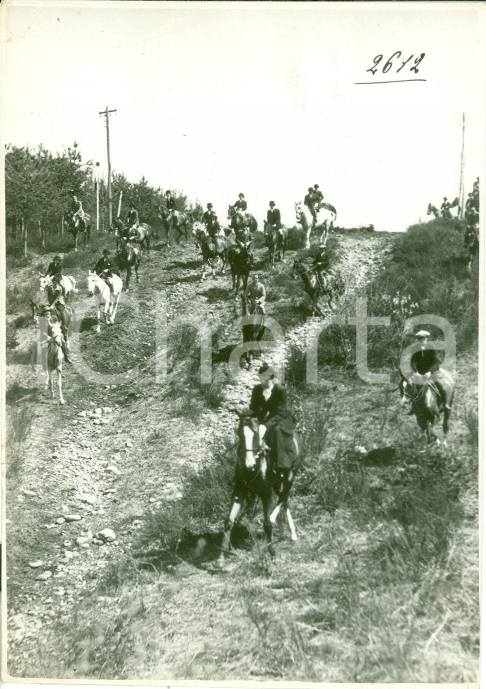Fotografia d epoca originale 1935 ca BRIANZA Battuta di caccia alla volpe in campagna FOTOGRAFIA 1
