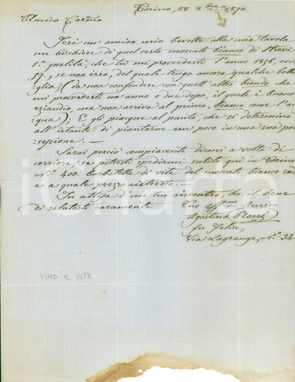 Documento originale, autentico 1870 TORINO Agostino ROSSI pianta moscato bianco di STREVI Fattura DANNEGGIATA 1